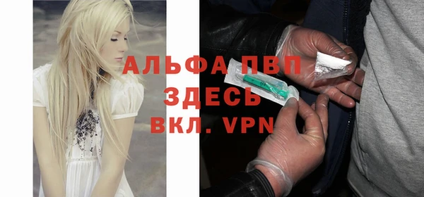 сатива Аркадак