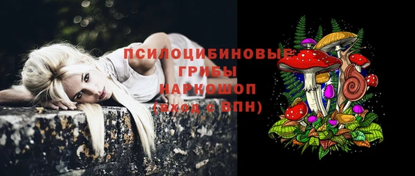 круглые Армянск